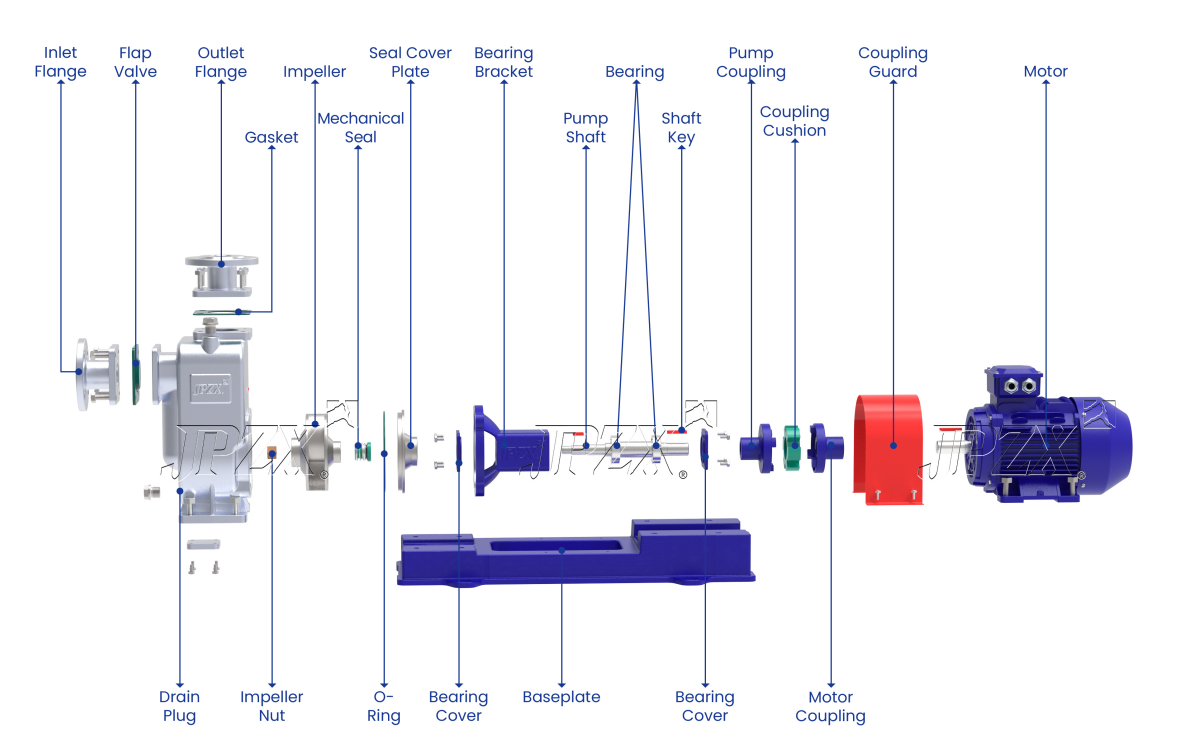 ZW Self-Priming Sewage Pump Exploded View and Structure Diagram | JPZX