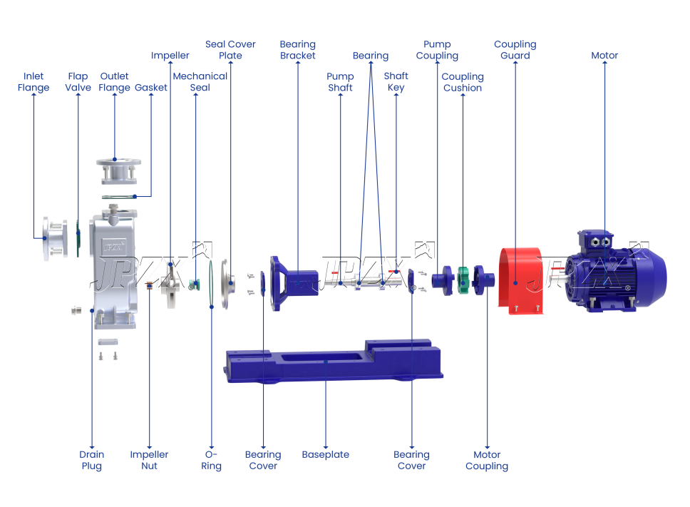 ZX Self-Priming Centrifugal Pump Exploded View and Spare Parts Diagram | JPZX