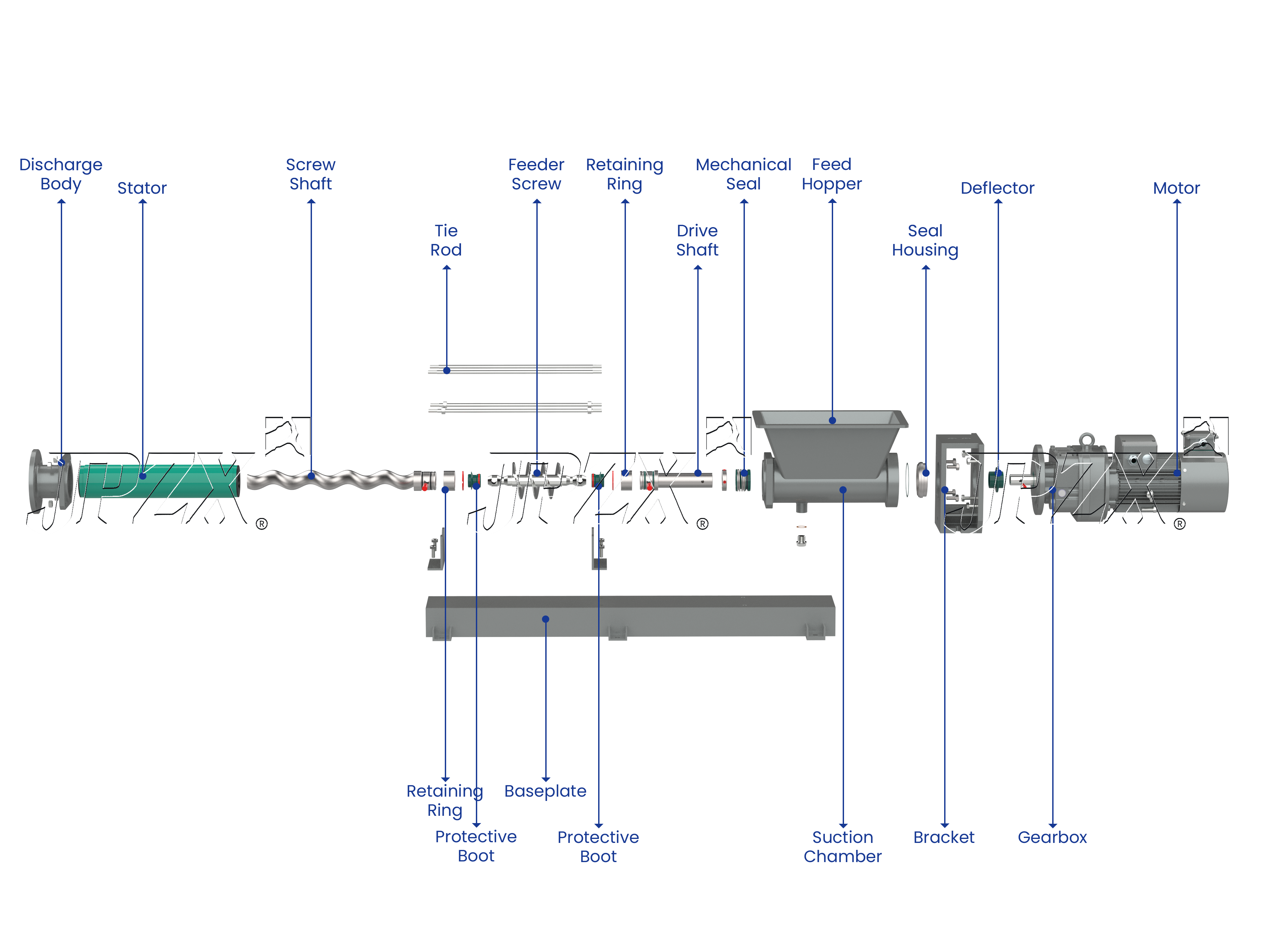ZN-LD Series Open Hopper Progressive Cavity Pump Exploded Assembly View | JPZX