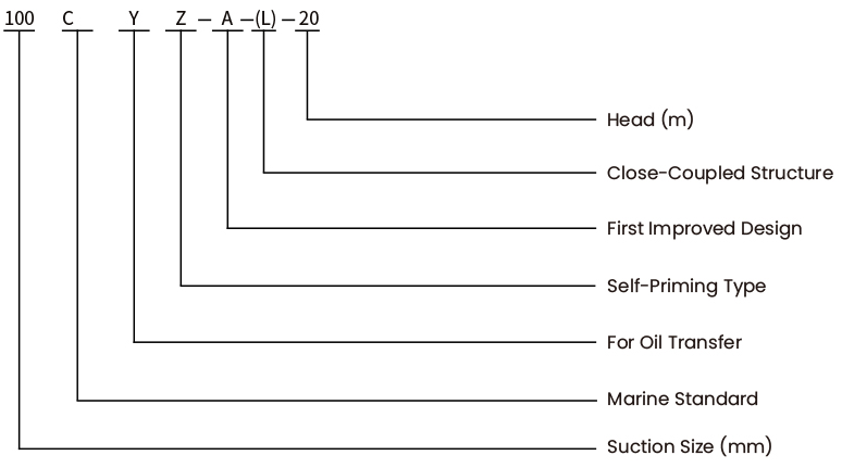 Self-Priming Oil Pump CYZ-A-L Series Model Nomenclature and Coding Guide | JPZX