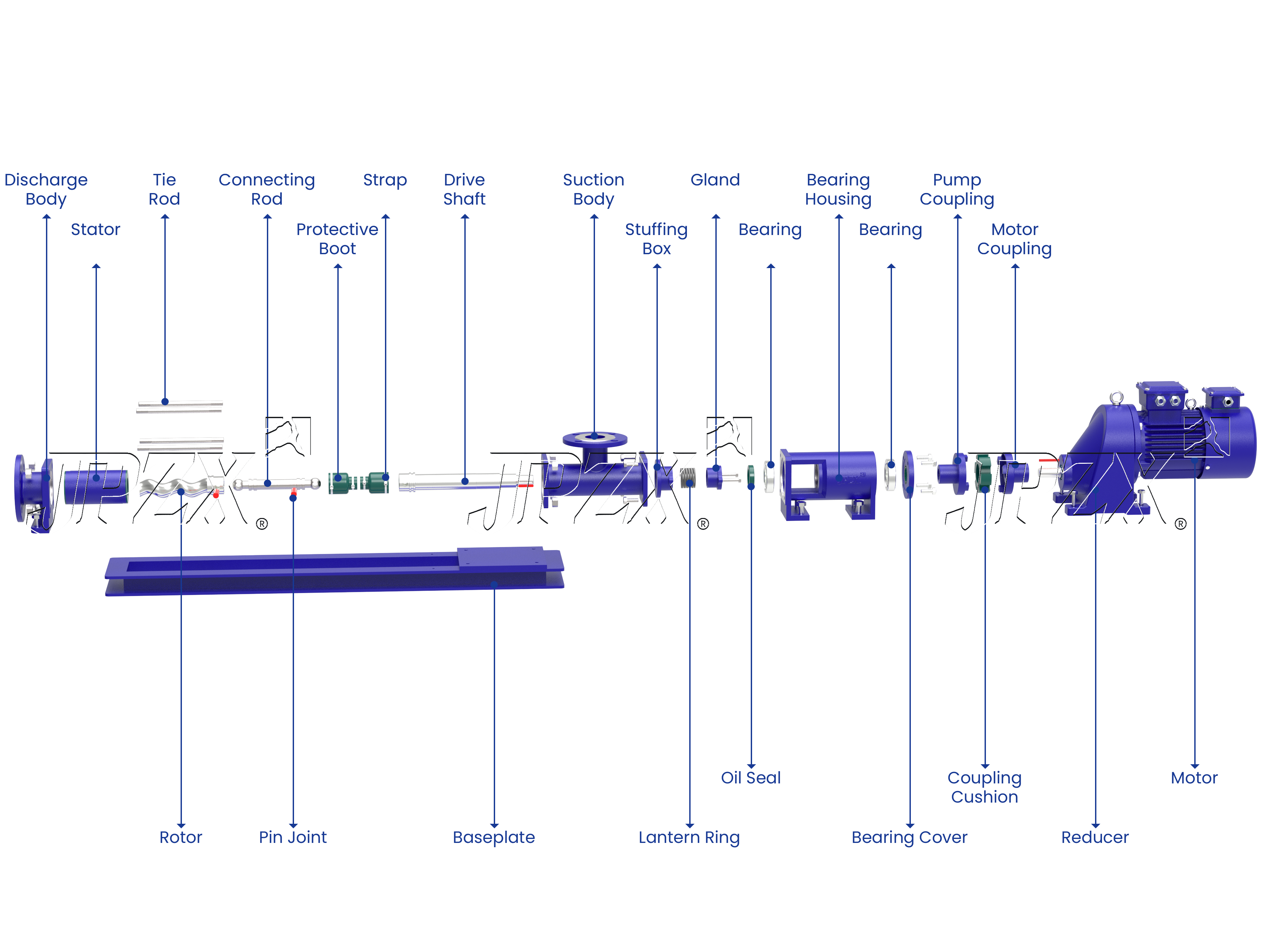 G Series Gearbox Driven Progressive Cavity Pump Exploded Assembly View | JPZX