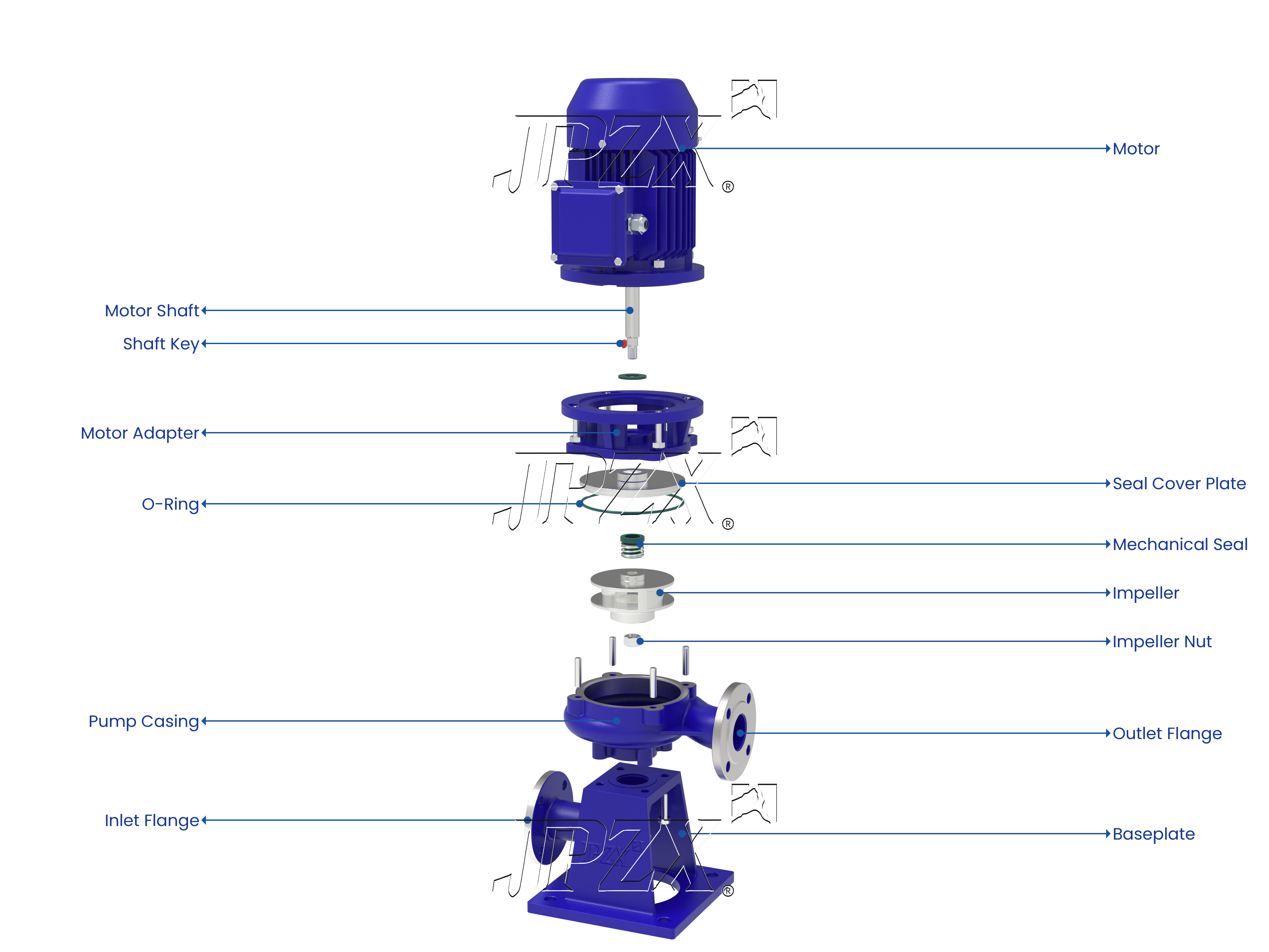 LWP LW Series Stainless Steel Vertical Sewage Pump Exploded Assembly View | JPZX