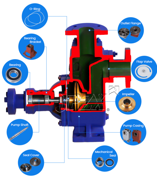 Self-Priming Oil Pump CYZ-A Series Sectional View and Internal Structure | JPZX