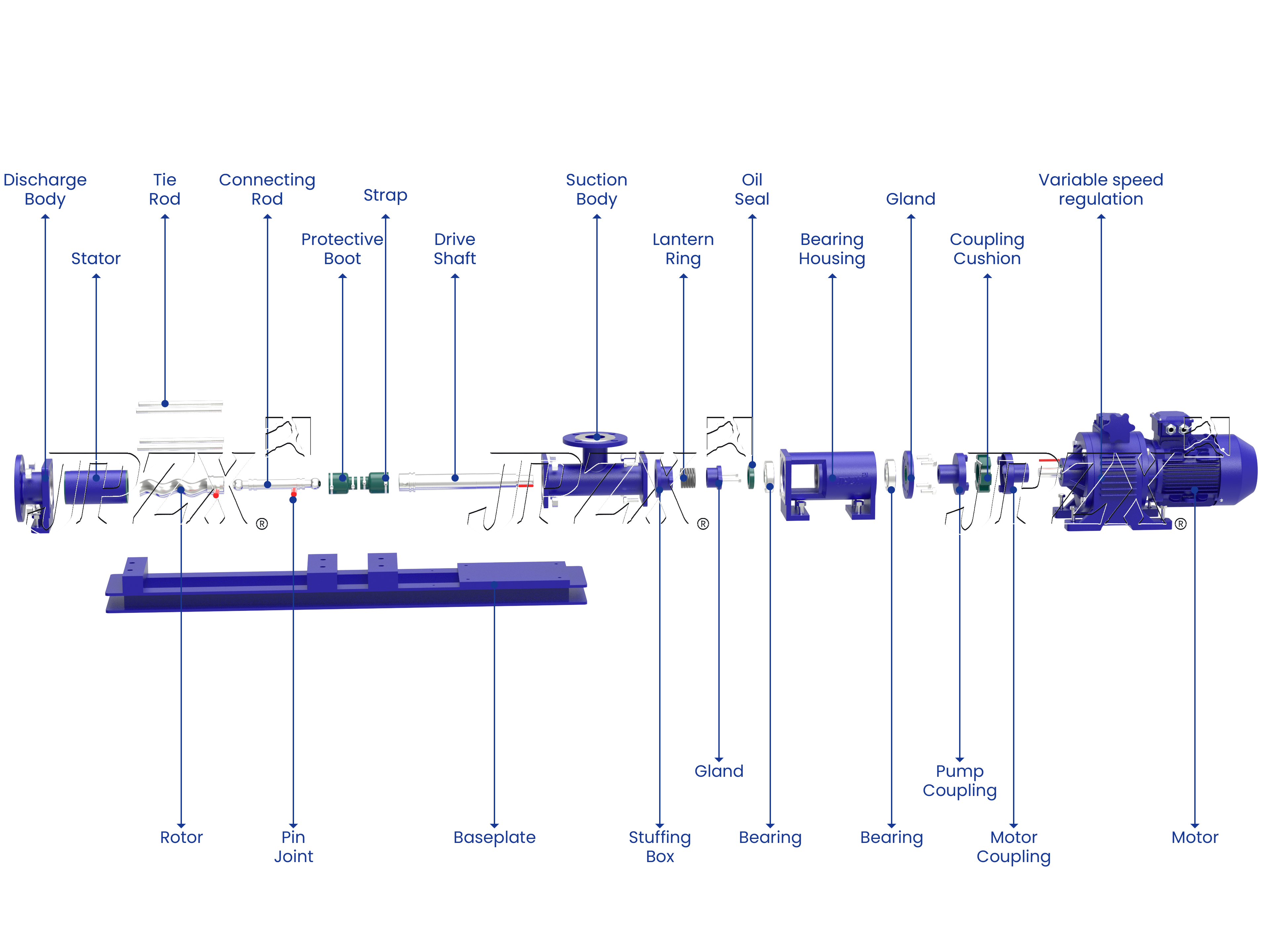 G Series Stepless Speed Regulating Progressive Cavity Pump Exploded Assembly View | JPZX