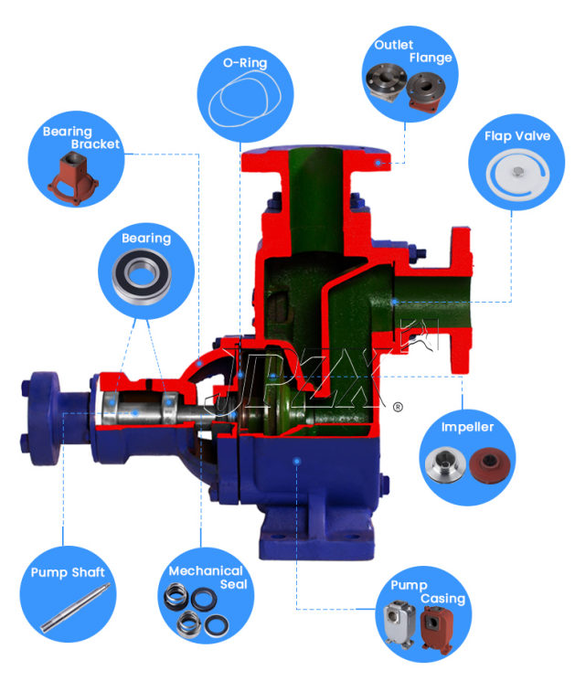 ZX Self-Priming Centrifugal Pump Sectional View and Internal Structure | JPZX