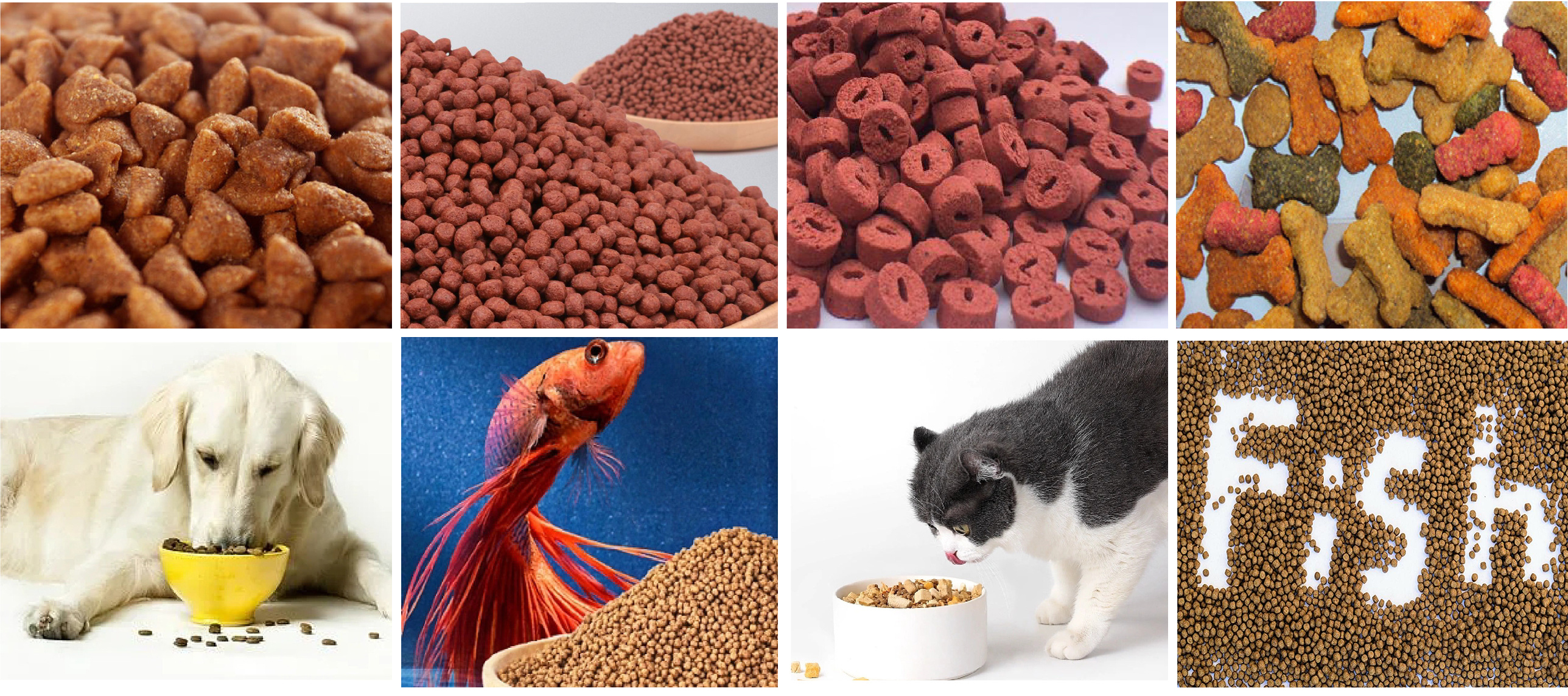 fish feed machine,fish feed extruder,dog feed machine