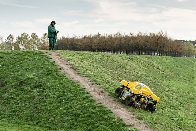 Lawn mowing robot on the grass