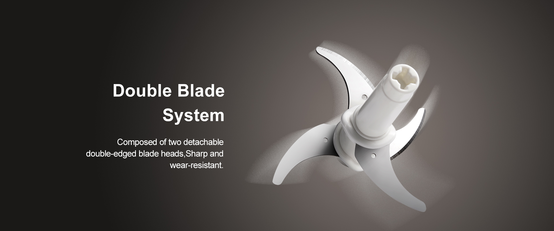 4 blades food chopper