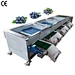 Industrial Blueberry Sorting and Grading Machine Bluerry Sorter Grader Machine
