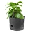 flower pot