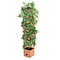 Tomato Tower