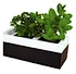 Hydroponic box
Soil less pot
Kitchen Pot