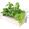 Hydroponics Growing Systems