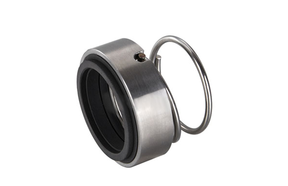 Mechanical Seal FRSF1