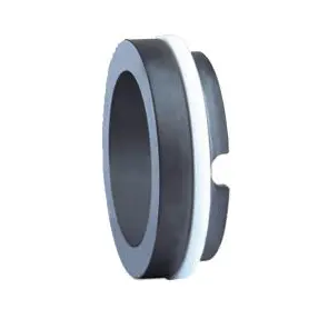 Mechanical seal BP