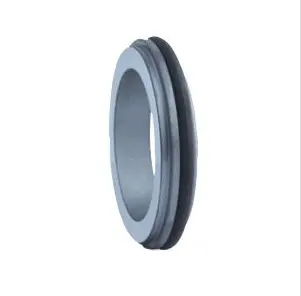 Mechanical seal BC