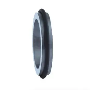 Mechanical Seal N