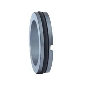 Mechanical seal T21