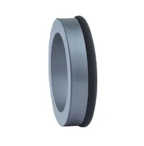 Mechanical seal BS