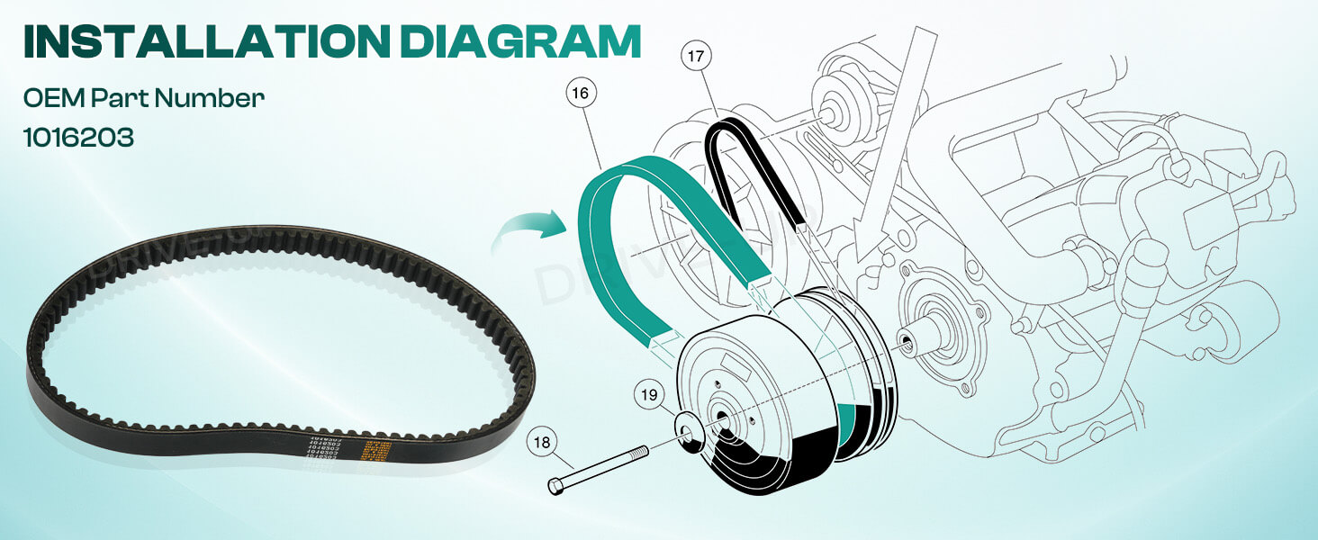 Club Car drive belt,Club Car DS / Precedent drive belt