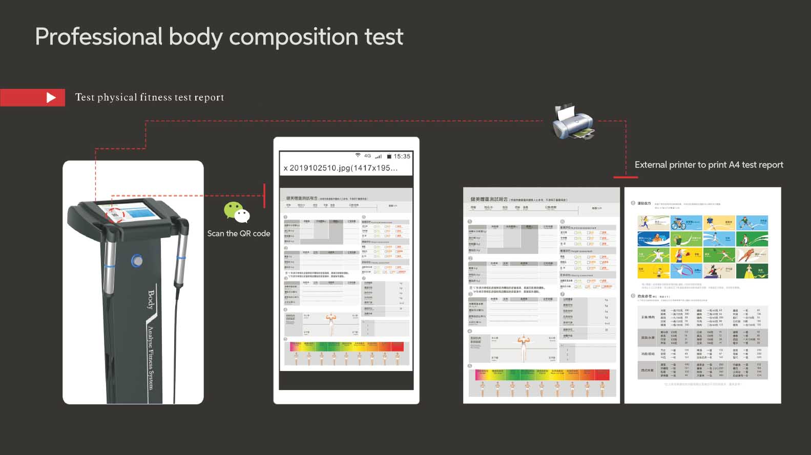 Professional body composition test report