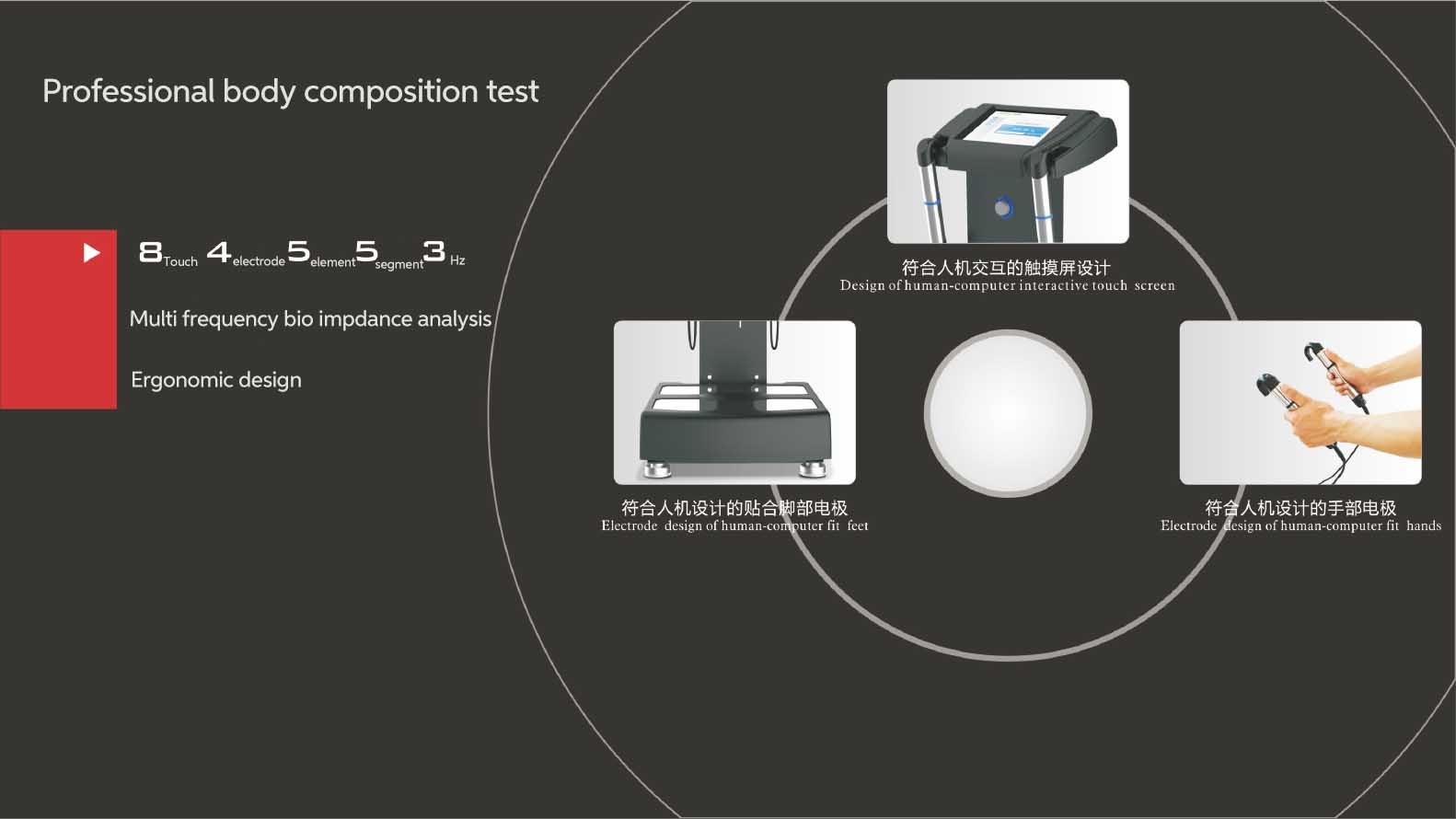 Professional body composition test
