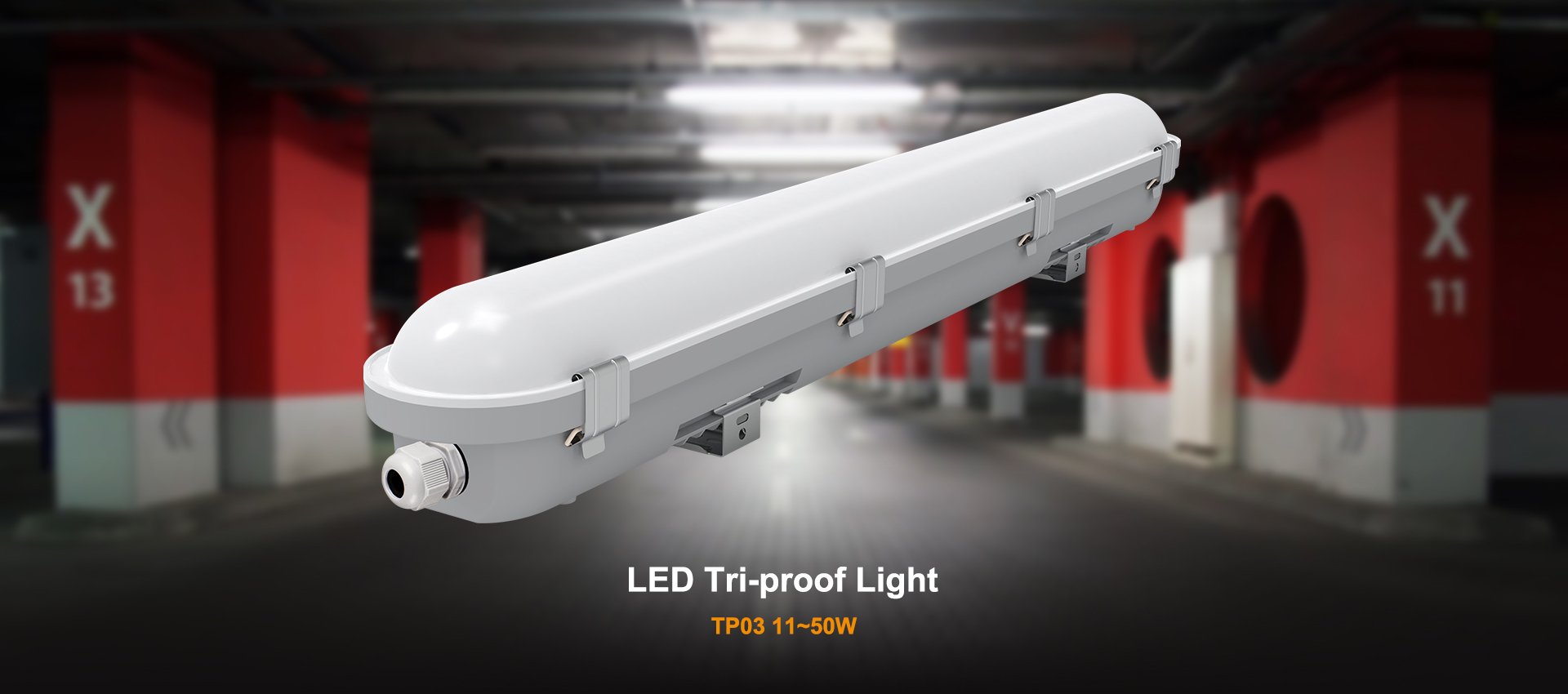 LED tri-proof light