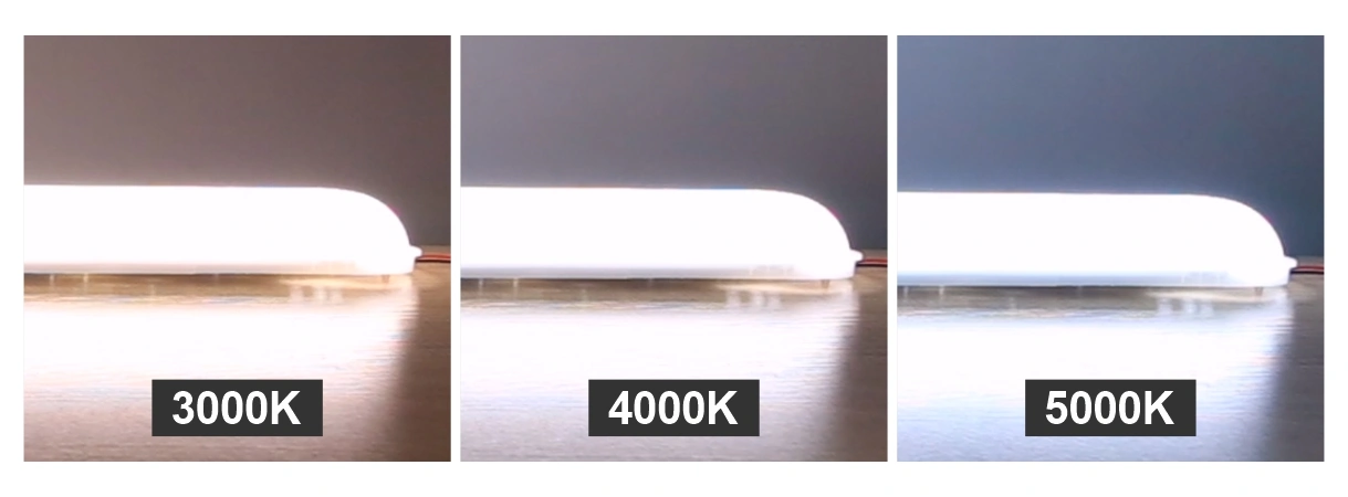 LED tri-proof light