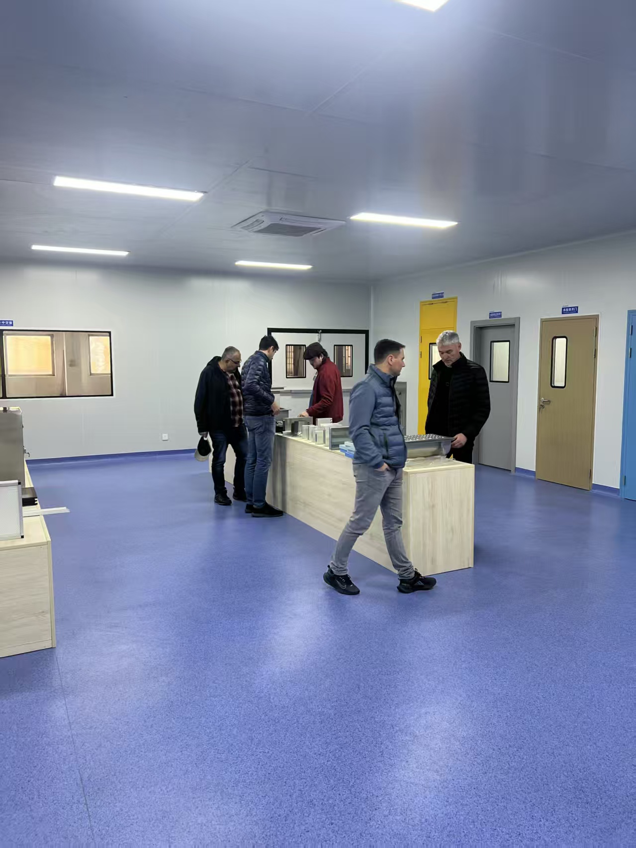 Russia Industrial Door Project
