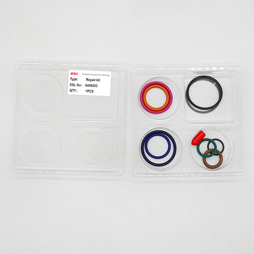 High-quality fuel injector overhaul kit, full models, fits auto/construction machinery injectors. Easy to install, anti-aging & high-pressure resistant. Suitable for AP63811BI fuel injectors.