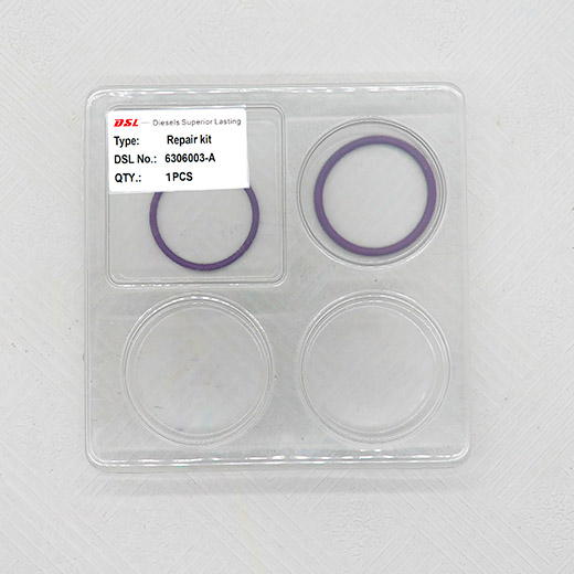 High-quality fuel injector external repair kit, full models, fits auto/construction machinery injectors. Easy to install, anti-aging & high-pressure resistant. Suitable for E1/E3 fuel injectors.