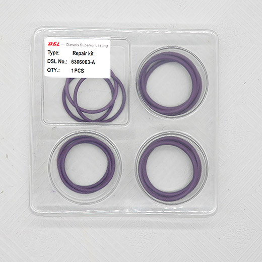 High-quality fuel injector external repair kit, full models, fits auto/construction machinery injectors. Easy to install, anti-aging & high-pressure resistant. Suitable for A3 fuel injectors.