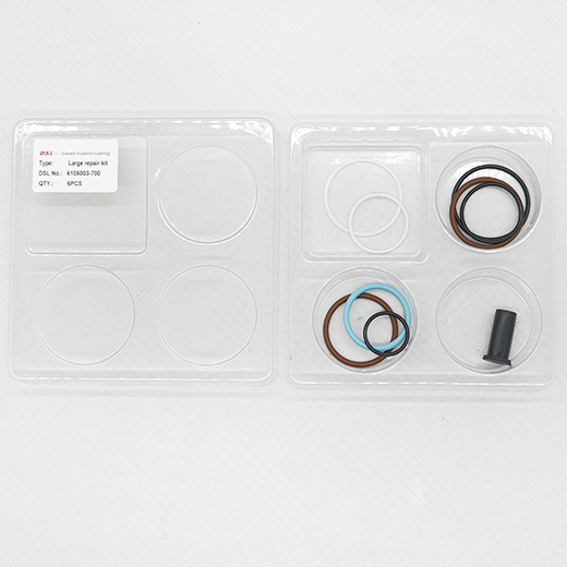 High-quality fuel injector overhaul kit, full models, fits auto/construction machinery injectors. Easy to install, anti-aging & high-pressure resistant. Suitable for 0414703 fuel injectors.