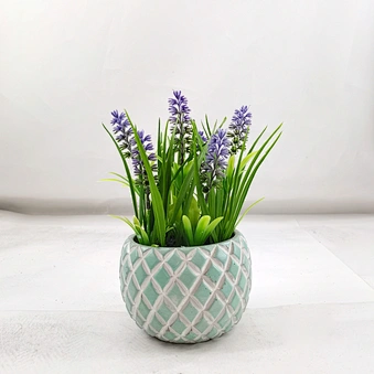 french lavender