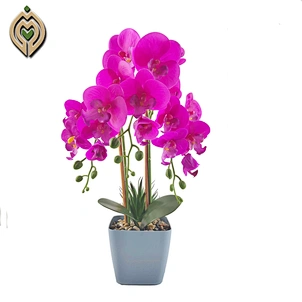 flowers on table
