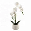 artificial  orchid