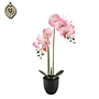 lily of the valley