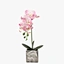 silk flowers