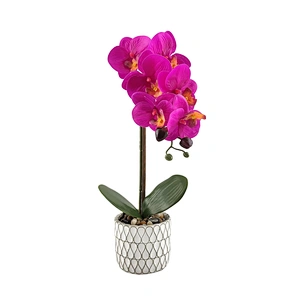 silk orchid plants