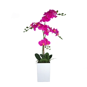 forever flowers