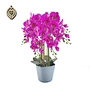 artificial orchid