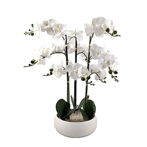 fake bonsai