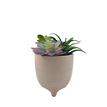 succulents
