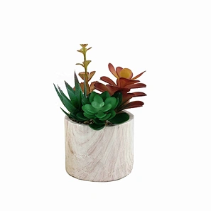 fake succulents