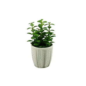 Wholesale  Factory Sale Home Decoration Plastic Desk Pot Artificial Succulent Plants