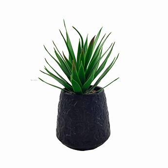 Wholesale Artificial Succulent Home Decoration Ceramic Flower Pot Suitable for Office Bookshelf Decoration