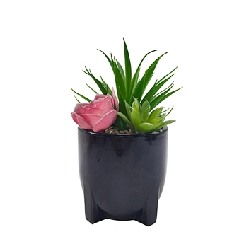 Wholesale Ceramic Pots Artificial Succulent Plants Suitable for Office Desks and Home Bookshelf Decoration