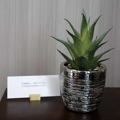 faux succulents