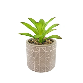 faux succulents