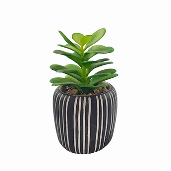 artificial succulent